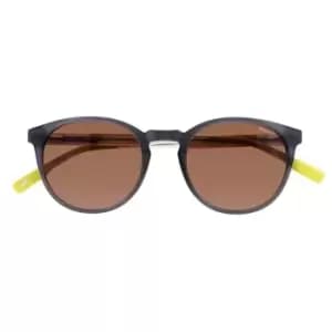 Hackett 3337 S/gls 99 - Grey