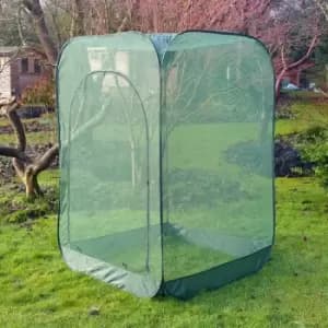 Pop-Up Net Fruit Cage - 1.25m x 1.25m x 1.85m High