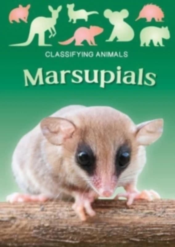 Marsupials Paperback / softback