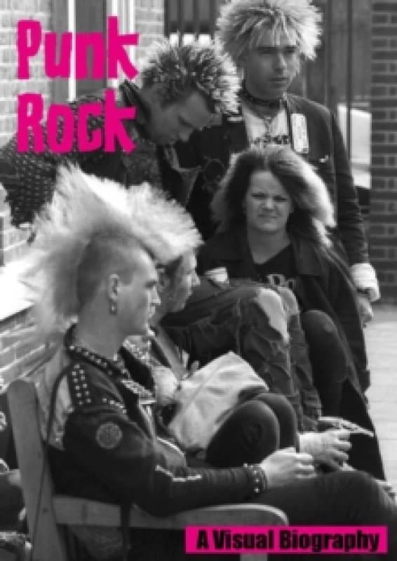 Punk Rock A Visual Biography Paperback / softback