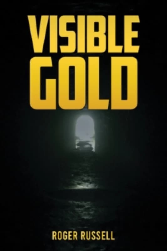 Visible Gold. Paperback. By Roger Russell Books