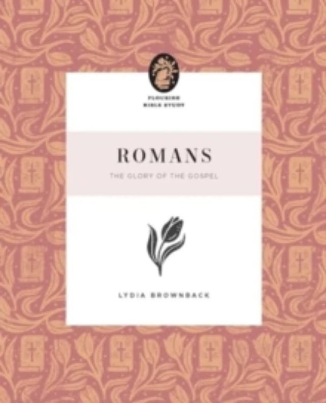 Romans : The Glory of the Gospel Paperback / softback