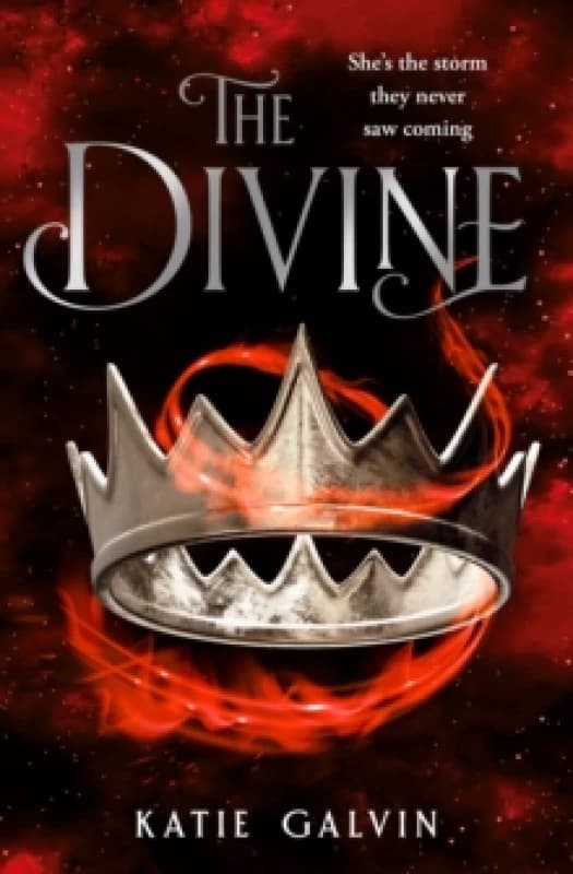 The Divine. Paperback. By Katie Galvin Books
