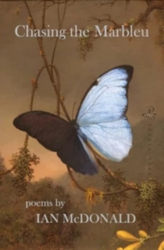 Chasing the Marbleu Paperback / softback