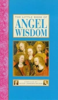 The Little Book of Angel Wisdom by Peter Lamborn Wilson Hardback