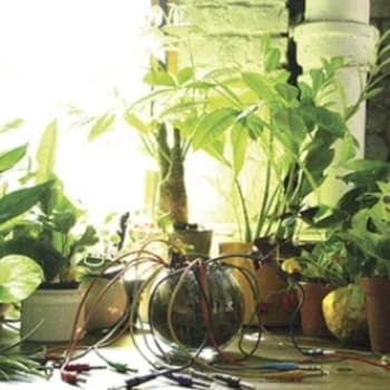 Singer - Mindreading Vinyl