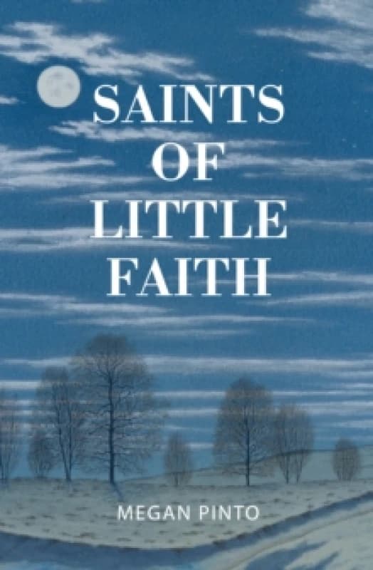 Saints of Little Faith. Paperback. By Megan Pinto Books