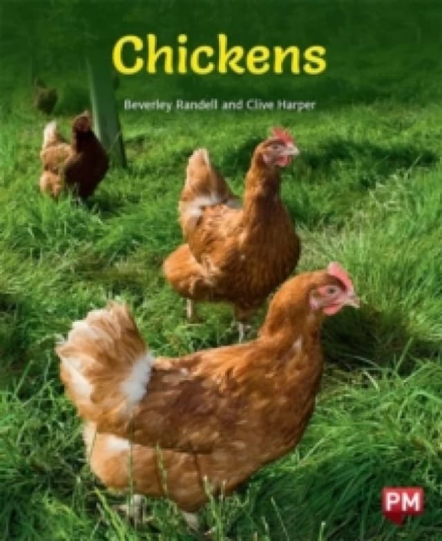 CHICKENS Paperback