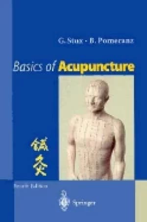basics of acupuncture