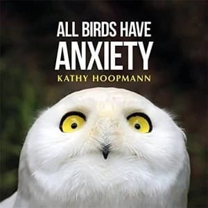 All Birds Have Anxiety by Kathy Hoopmann (Hardback, 2017)