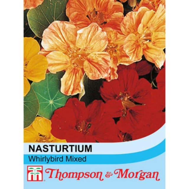 Thompson & Morgan Nasturtium Whirlybird Mixed 1 Packet (25 Seeds)