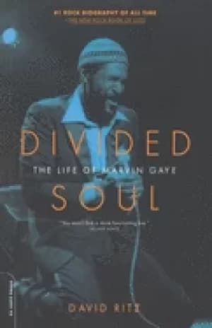 divided soul the life of marvin gaye