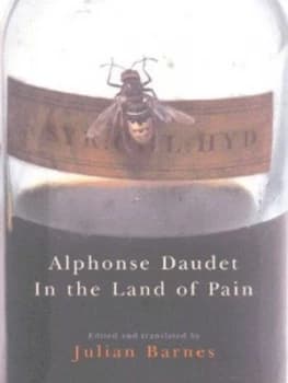 In the Land of Pain by Alphonse Daudet Hardback