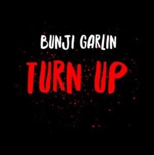 Turn Up by Bunji Garlin CD Album