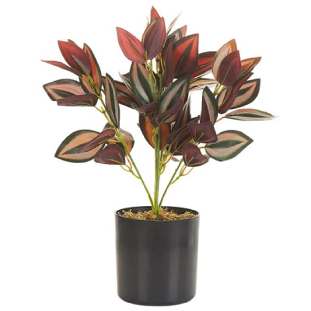 Beliani Artificial Plant Tradescantia 35cm Red