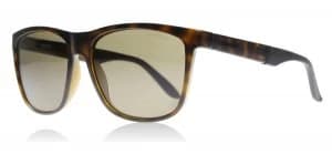 Carrera 8022S Sunglasses Havana DWJ Polariserade 56mm