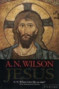 Jesus by A. N Wilson Paperback