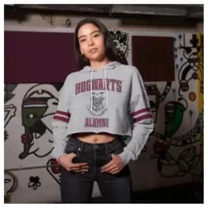 Harry Potter - Hogwarts Alumni (SuperHeroes Inc. Cropped Pullover) Ex Ex Large