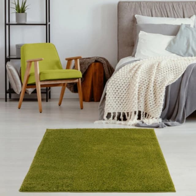 THE RUGS Shaggy Rugs Green Living Room Rug - Soft Fluffy Thick Carpet For Bedrooms & Kitchen Easy To Clean Home Decor Rugs Size: 120cm x 120cm Gre