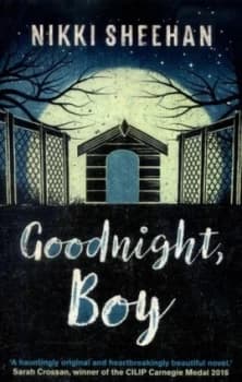 Goodnight Boy by Nikki Sheehan Book