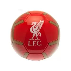 Liverpool Nemesis Ball Size 5