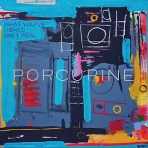 What Youve Heard Isnt Real by Porcupine Vinyl Album