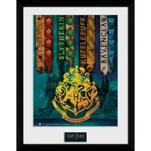 Harry Potter House Flags Framed Collector Print