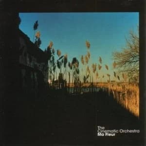 Cinematic Orchestra - Ma Fleur Vinyl