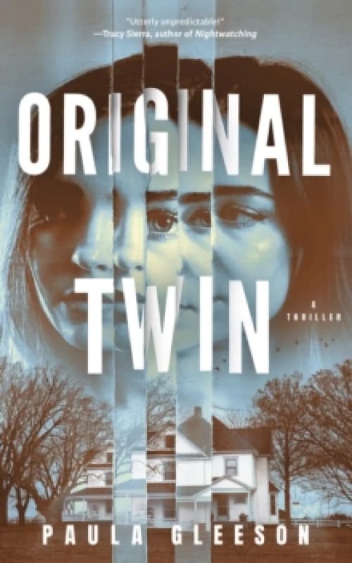 Original Twin : A Thriller Paperback / softback