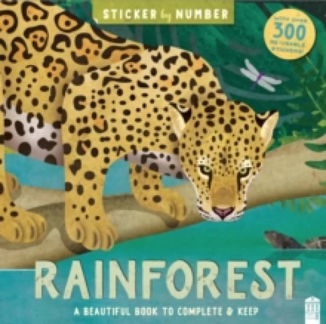 Rainforest Paperback