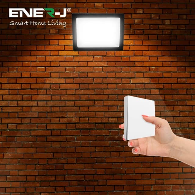 ENER-J 50W LED Floodlight Pre Wired with 500W RF WiFi Receiver 1 Gang in Black Unisex