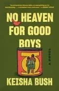 no heaven for good boys a novel