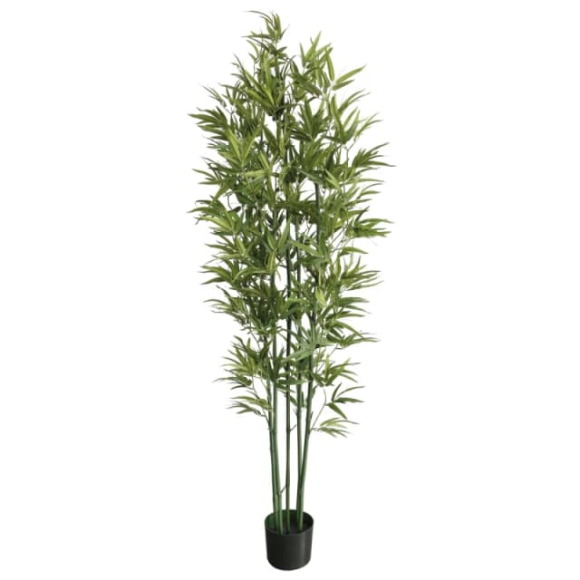 Leaf 180cm Natural Green Bamboo Artificial