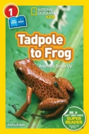 Tadpole to frog by Shira Evans
