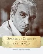sparks of divinity the teachings of b k s iyengar