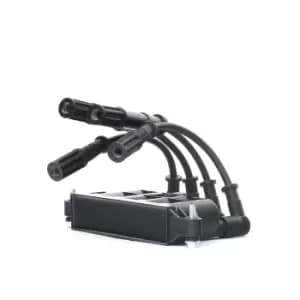 RIDEX Ignition coil FORD,FIAT,ALFA ROMEO 689C0290 55200112,55208723,55228006 Coil pack,Ignition coil pack,Engine coil,Engine coil pack 55200112