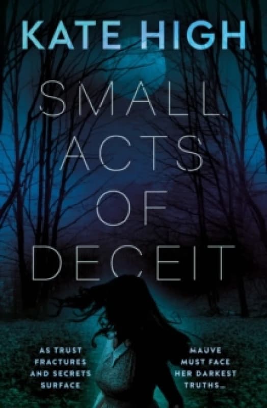 Small Acts of Deceit Paperback / softback
