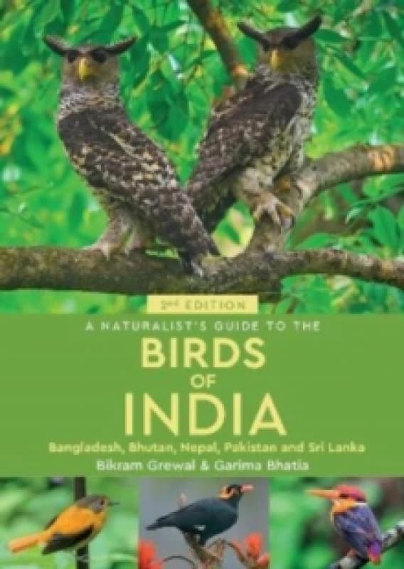 A Naturalist's Guide to the Birds of India Paperback / softback