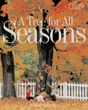 tree for all seasons