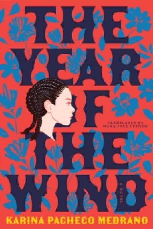 The Year of the Wind Paperback / softback
