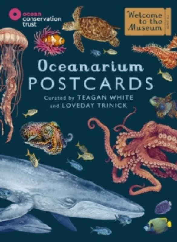 Oceanarium Postcards Postcard book or pack