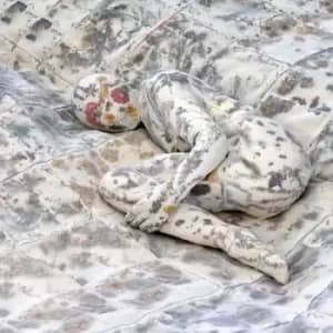 Better in the Shade by Patrick Watson CD Album