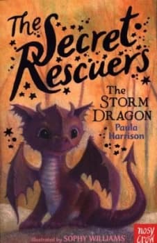 The Storm Dragon by Paula Harrison Book