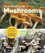 beginners guide to mushrooms everything you need to know from foraging to