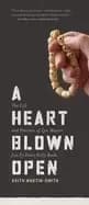 heart blown open the life and practice of zen master jun po denis kelly ros