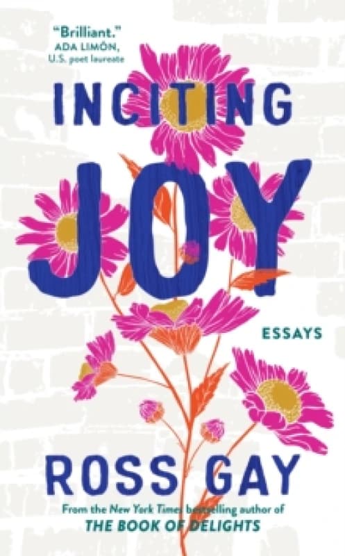 Inciting Joy : Essays Paperback / softback