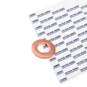 REINZ Gaskets MERCEDES-BENZ,MITSUBISHI,SMART 70-31598-00 5080301AA,5080301AA,5080301AA Seal, injector 6010171360,6110170060,6110170061,16635HG0A