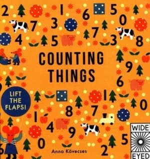 Counting Things by Anna Kovecses Hardback