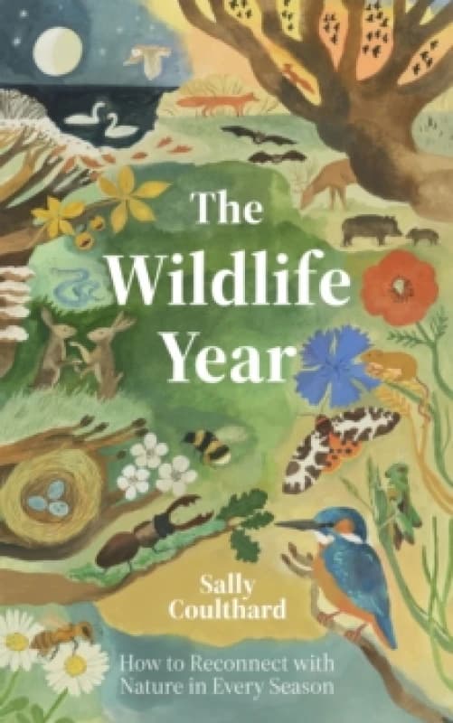 The Wildlife Year : How to Reconnect with Nature Through the Seasons Hardback