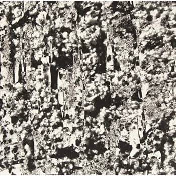 Perspex Flesh - Ordered Image Vinyl